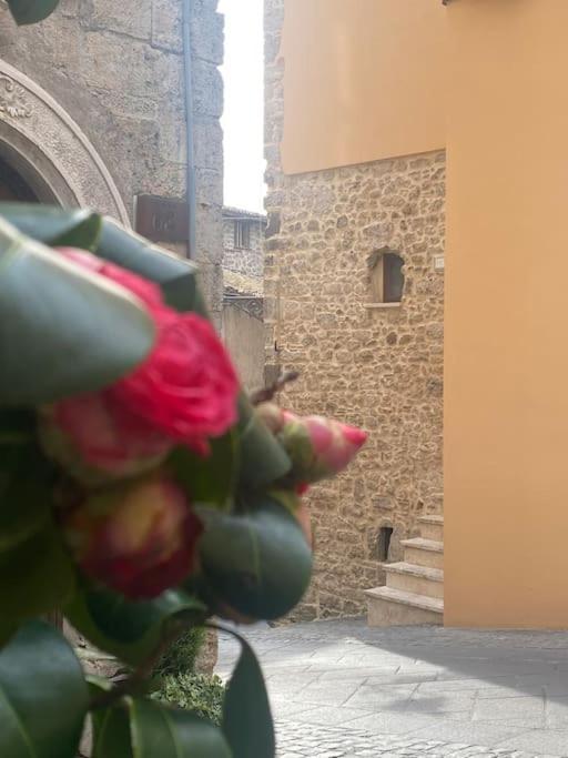 Il Nido Dell'Arte Apartment Anagni Bagian luar foto